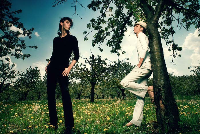 konfrontace v tresnovem sade