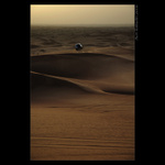 Waiting for the sunset