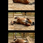 ***válení je fajn!***:o)