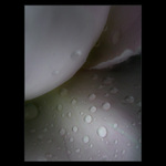  - diamonds are forewer -