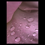  - diamonds II. -