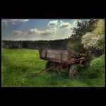 * polocas rozpadu II. *