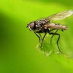 Ke startu připravit ...