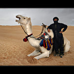 Alex, závodní velbloud