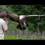 A jak vy vidíte předvolební politickou situaci ?