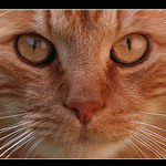 Koukni se mi do oci...