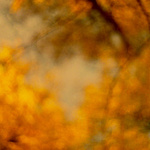 Konec jednoho představení