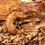 Nespadni, drz sa ma!