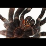 Ty, ty za tým 19\" LCD si chutnýýý...