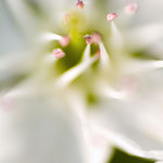 Micro Macro