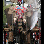 The Sultans Elephant