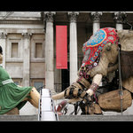 The Sultans Elephant III