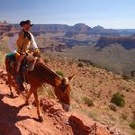 Kauboj, turistická verze