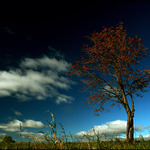 Touhy k zemi upoutaných III.