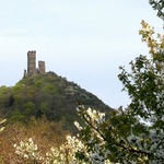 Házmburk v záplavě květů.