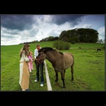 první setkání s koňem
