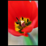 Klasika těchto dní :-)