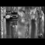 Příběhy od jednoho plotu II.