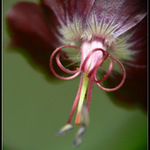 Nenapadny a elegantny