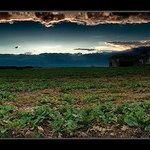 -- situace se vyjasňuje --