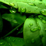 :::Kap kapy kaP:: aneb Doteky