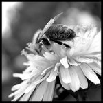 Víte co mi můžete a víte kam