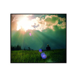 na houbach../The Lightbulb sun/