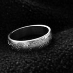 Lord Of the Rings-silver