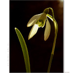 ...in the sunshine...