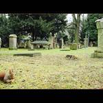 ¨¨¨¨psssst¨¨¨¨