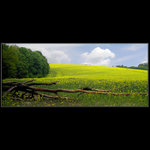 200m od Hranické propasti