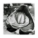 If God Will Send His Angels