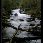 Nízké Tatry - Zadná voda