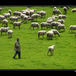 Velká Fatra - Vlkolínec