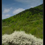 Velká Fatra - Vlkolínec