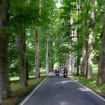 Na vyjížďce - Lázně Kynžvart