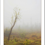 ...mlhavá nová naděje...