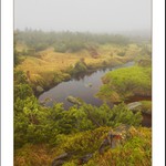 ... ranní pařízek ...