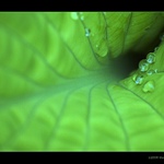 ...zelená klouzačka...