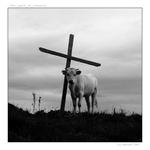 The Spirit of Romania