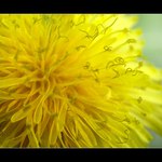 ...jarem provátá...