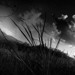 ...temné ... luční.... krajiny....duše... :)))