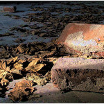 Krása, kterou zavál čas