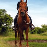 soulad a harmonie......