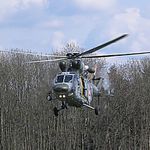 sokol na přistání