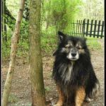 zničený životom a vodou