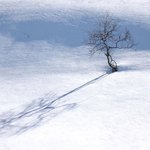 Sám ve finské divočině