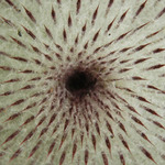 Cesta do stredu zeme