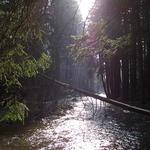 Tak jako voda plyne...