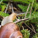 Tak co vidíš něco?